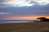 View of the Giens peninsula at sunset from Miramar beach in La Londe les Maures in spring. Seaside landscape near Hyères, Var, France