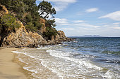 Seaside landscape on the Var coast in spring, with the Isle of Levant on the horizon, seen from the Argentière beach in La Londe les Maures, Var, France