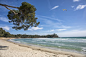Seaside landscape on the Var coast in spring, view of Pellegrin beach in Bormes les Mimosas, Var, France