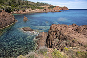 Landscape of the Esterel coast towards Cap Roux in spring, detail of a cove near Agay Saint Raphaël, Var, France