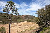 Estérel landscape with the small Grenouillet lake in the foreground in April 2023, victim of the drought in the massif near Agay Saint Raphaël, var, France