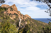 Esterel landscape with view of the Cabrier rock in springtime near Agay Saint Raphaël, Var, France