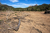 Estérel landscape with the small Grenouillet lake in the foreground in April 2023, a victim of the drought in the massif near Agay Saint Raphaël, Var, France