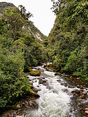 River landscape at altitude (2600 m) in mountain rainforest in the Peruvian Andes, El Jardin, Peru