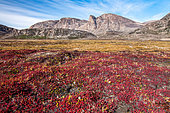 Autumn mountain and tundra landscape in Scoresby Sound, Greenland