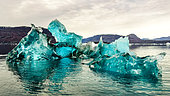 Turquoise iceberg in Scoresby Sound, Greenland