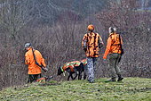 Hunters and dogs, wild boar hunt, Doubs, France