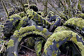 Farm tractor tires covered with moss, dumped in a forest, Ecot, Doubs, France