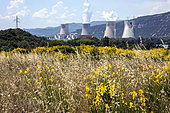 Cruas-Meysse nuclear power plant in the Rhône valley in spring, seen from the rest area of the A7 freeway, Ardèche, France