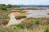 Landscape of the Vieux Salins de Hyères. Protected bird sanctuary partially open to the public. View of the Levée St Nicolas basins to the east, with the Maures massif in the background in springtime, Var, France