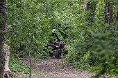 Quad biking on a forest road, potentially disturbing wildlife, in spring in a wood in the Gapeau valley, near Hyères, Var, France.