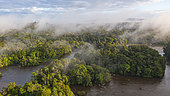 Drone view of the Amazon rainforest, Approuage River, French Guiana