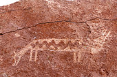 Pre-Hispanic petroglyphs. Stopover for caravans linking the altiplano to the Pacific coast. Hierbas Buenas, Atacama Desert, Chile.