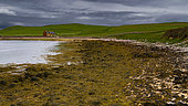 Coast at low tide, Landscape of Scotland, Great Britain