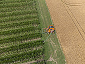 Aerial view taken with a drone of fields in July in the Auvergne near Billom. The hose reel used to water a seed corn field, Billom, France.