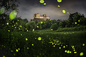Fireflies in front of Torrechiara Castle, Parma, Italy