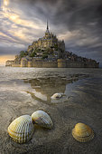 Shells on the sand at low tide in front of Mont Saint-Michel, Normandy, France