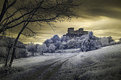Frost on Torrechiara Castle, province of Parma, Emilia Romagna, Italy
