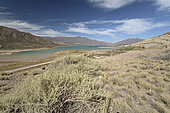 Lago Potrerillos, Rio Mendoza Valley, Mendoza Province, Argentina