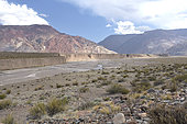 Upper Rio Mendoza valley above Uspallata, Mendoza province, Argentina