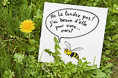 "Don't mow her! I need her to live... thank you". Biodiversity poster, Auvergne, France