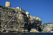 The cliffs of Bonifacio, South Corsica. A 60-metre-high cliff of white limestone of Miocene age - the citadel and upper town are threatened by its fragility, Corsica