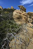 Leucocratic granites sculpted by marine erosion in southern Corsica. Pointe de Campomoro - Gulf of Valinco - Corsica