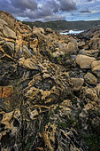 The Pointe de Campomoro in a strong westerly wind (U Libeccio). Leucocratic granites and veins of softer diorite, hollowed out by taffonis and sculpted by marine erosion - Pointe de Campomoro - Gulf of Valinco - South Corsica