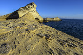 Cap de Pertusato, South Corsica. Miocene marine limestone - Bonifacio region - Corsica