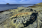 Taffonized prasinites at Cap Corse. Offshore, the island of Giraglia - The rocks are green schists or prasinites , derived from the metamorphism of hydrated basalts under conditions of low pressure and temperature (ophiolitic complexes) - Barcaggio - Cap Corse, Corsica