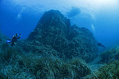 Divers in the Scandola Marine Nature Reserve, Parc Naturel Régional de Corse