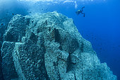 Ecueils de Porri, on the outskirts of the Scandola Marine Nature Reserve, Parc Naturel Régional de Corse
