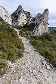 Path among the rocks, Alpilles, France