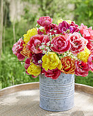 Mixed tulips