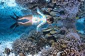Static freediving, letting your body float without any movement above the reef, Mayotte