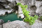 Gorges du Verdon, France.