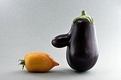 Eggplant (Solanum melongena) shape of a man, tomato, market gardener, organic farming, Reppe, Territoire de Belfort, France