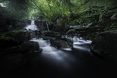 La cascade des Touzes, Saint-Chély-d'Aubrac, Aveyron, Occitanie, France