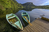 Fishing boats at dusk, Lac de Bonlieu, Jura Mountains, France