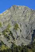 The spectacular folds of the tête des Chétives, in the Ecrins massif. Remarkable folds in Upper Lias limestone (secondary or Mesozoic era) - Parc National des Ecrins (Tête des Chétives) - Hautes Alpes - France