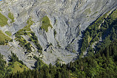 The spectacular folds of the tête des Chétives, in the Ecrins massif. Remarkable folds in Upper Lias limestone (secondary or Mesozoic era) - Parc National des Ecrins (Tête des Chétives) - Hautes Alpes - France