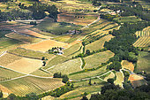Côtes du Rhône vineyards in the Dentelles de Montmirail in springtime with slopes planted with trees, Provence, France