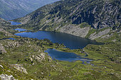 The upper Bassiès valley in Ariège. Lac majeur, and Pla de la Fond, in June - Pyrenees mountains, France