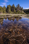 Lake in Capcir, Pyrenees. Les Bouillouses, Font Romeu region, PNR des Pyrénées Catalanes, France