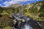 Torrent and lake in Capcir, Pyrenees. Lac de Bailleul, Les Bouillouses, Font Romeu region, PNR des Pyrénées Catalanes, France