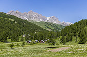 Chalets de Lacha (1828 m), la crête du Queyrellin (2866 m) en arrière-plan, haute vallée de la Clarée, Névache, Hautes-Alpes, France