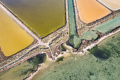 Ponds of Frontignan, Hérault, France
