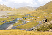 High plain near Lake Köl-Suu, At-bashi, Naryn, Kyrgyzstan