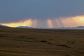 Evening light on the Son-kul steppe, Kochkor, Naryn, Kyrgyzstan