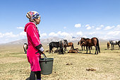 Milking time for the mares of Son-kul - Kyrgyzstan